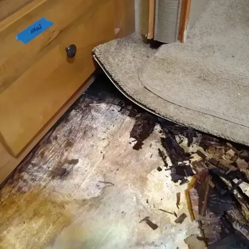 Best Wood Floor Water Damage Service in Baxley, GA